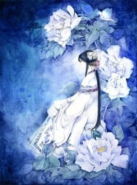 黑夜绽放的玫瑰